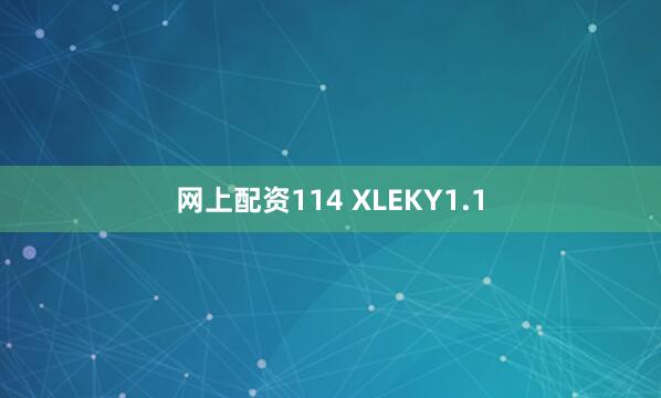 网上配资114 XLEKY1.1