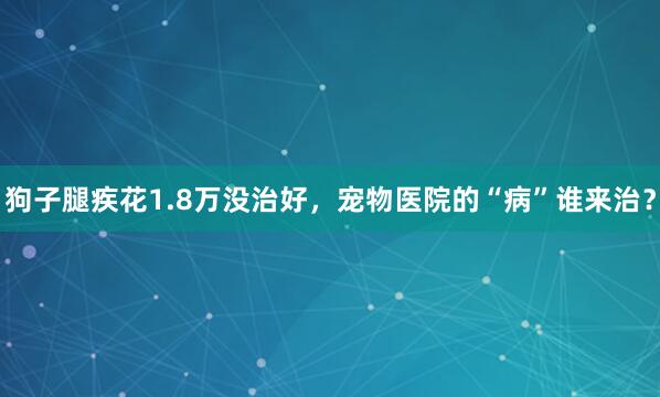 狗子腿疾花1.8万没治好，宠物医院的“病”谁来治？